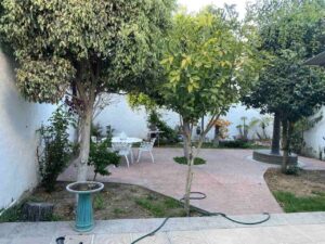 la imagen muestra jardín de casa